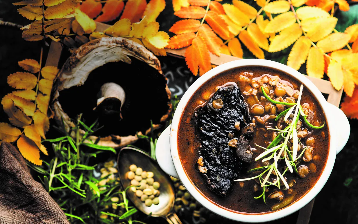 Linsgryta med portabello på ett bord med höstlöv