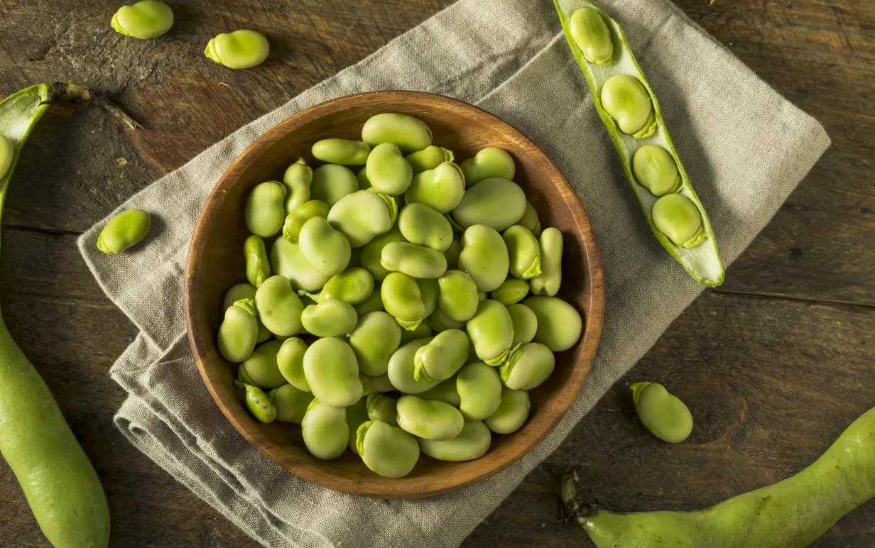 Favabönor i en skål på ett bord