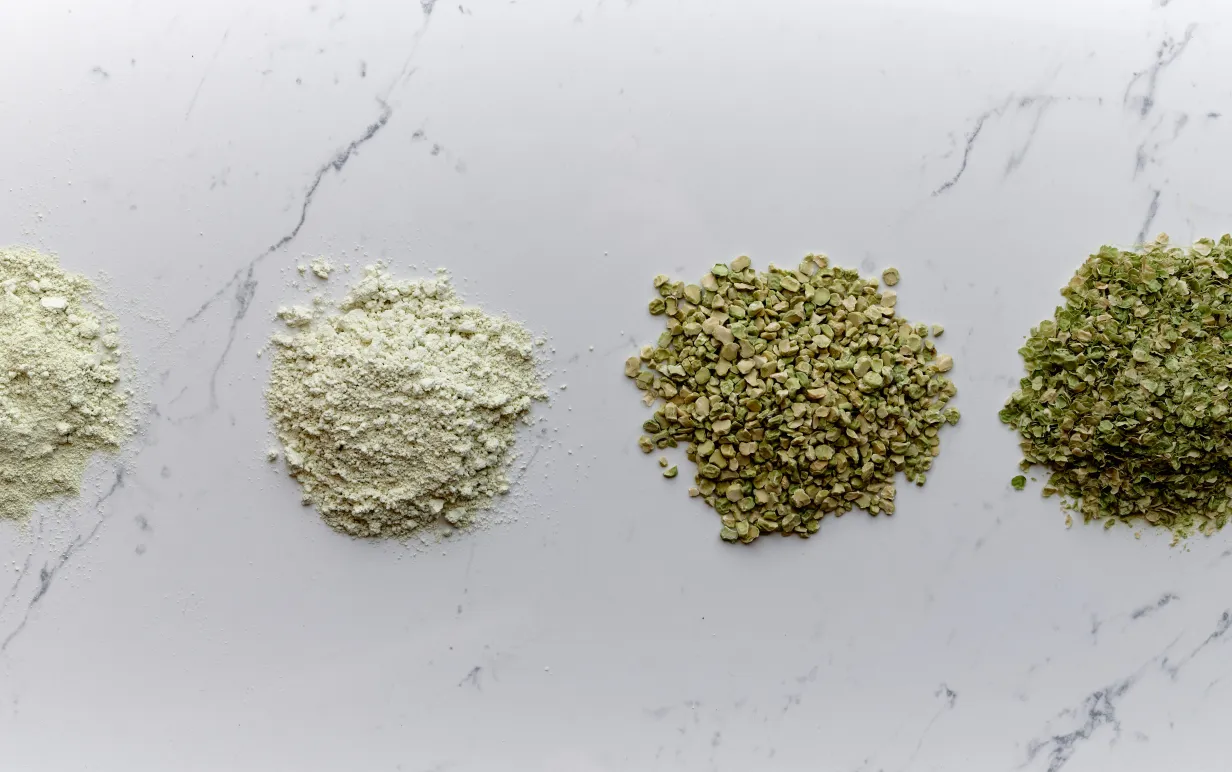 Ärtprotein i olika steg av förädlingsprocessen i små högar på marmoryta