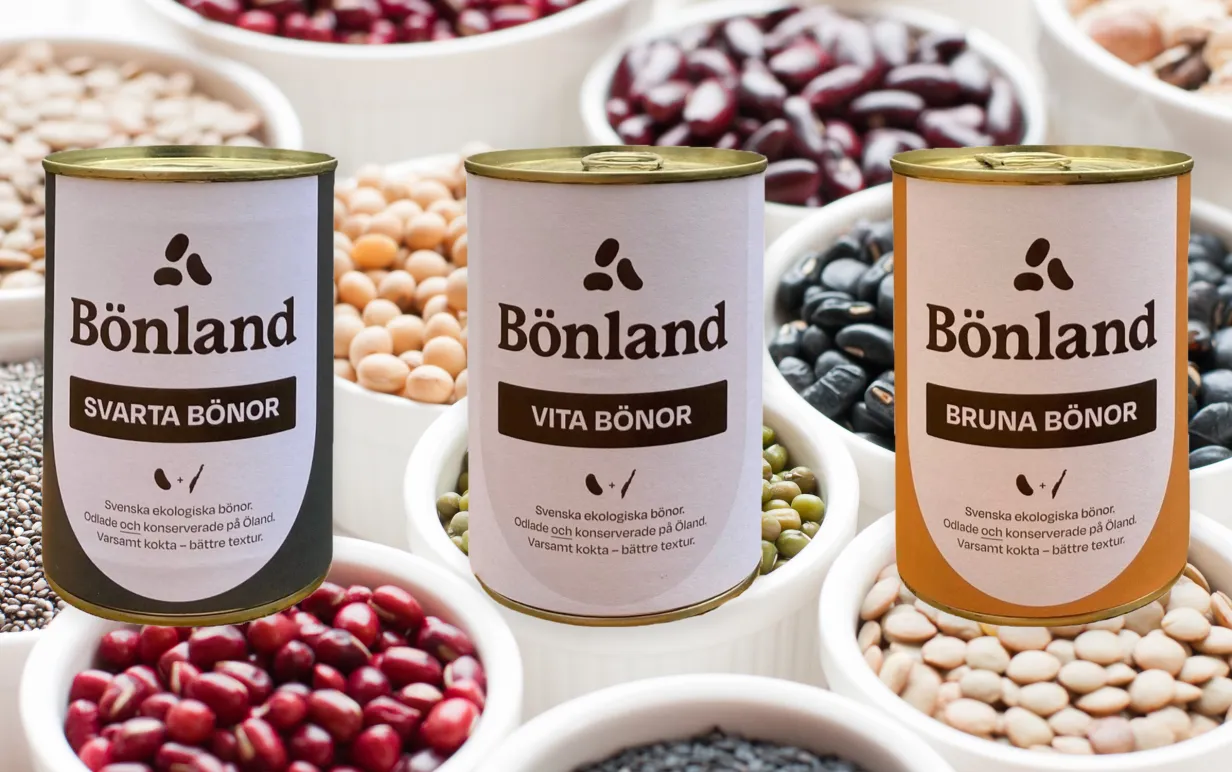 tre konserver med bönor uppradade mot en bakgrund med olika bönor i vita skålar