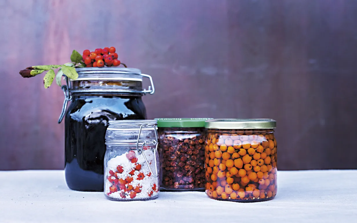 Burkar med syltningar och inläggningar