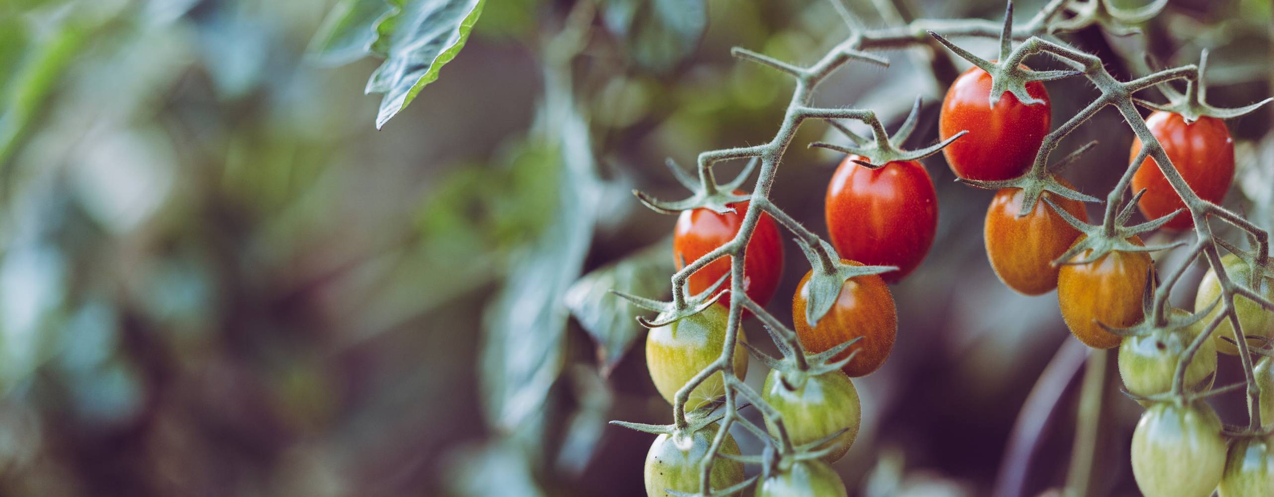 Photo by Markus Spiske on Unsplash Thumbnail