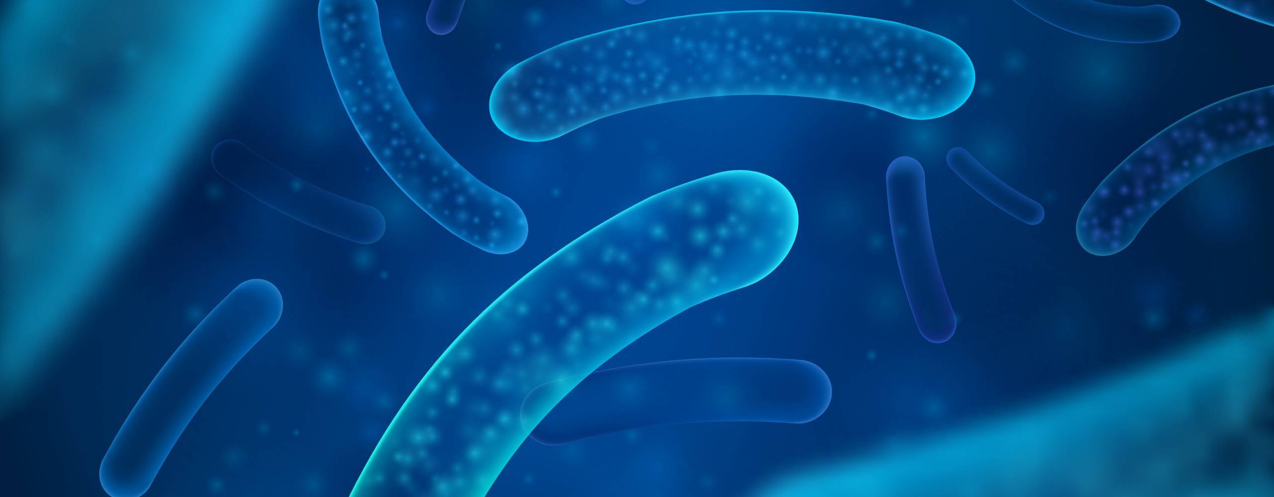 encellig organismer i blå färg