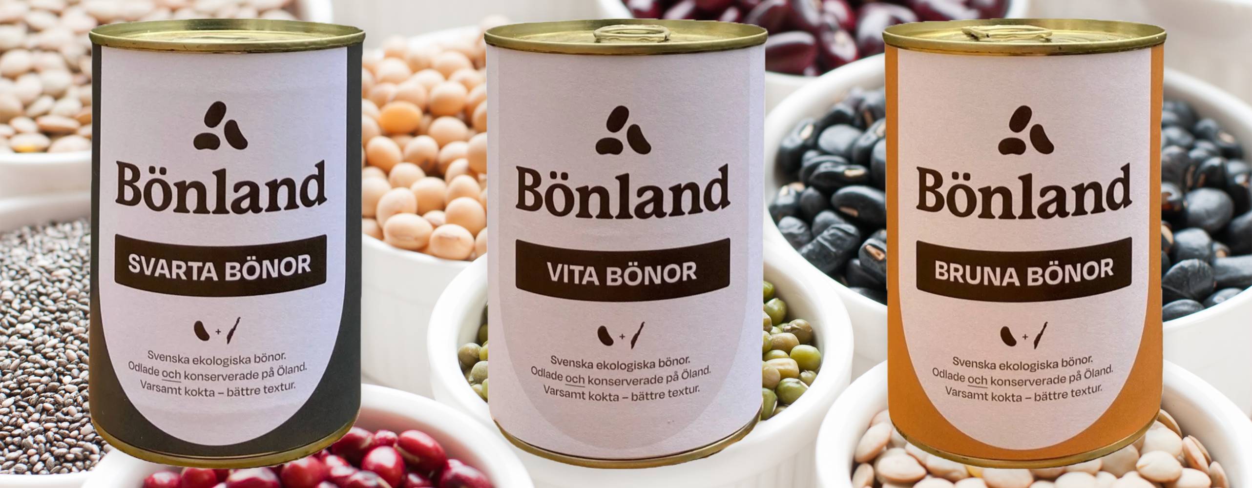 tre konserver med bönor uppradade mot en bakgrund med olika bönor i vita skålar