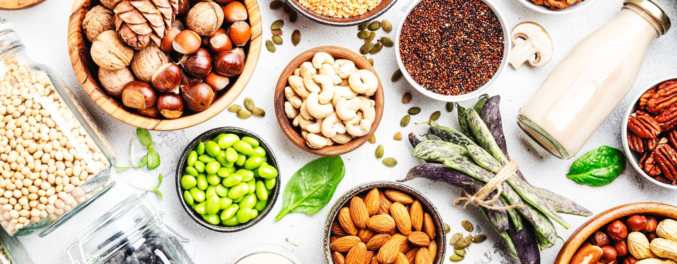 Vegan protein. Full set of plant based vegetarian food sources. Healthy eating, diet ingredients: legumes, beans, lentils, nuts, soy and almond milk, tofu, quinoa, chia, vegetables, spinach, seeds