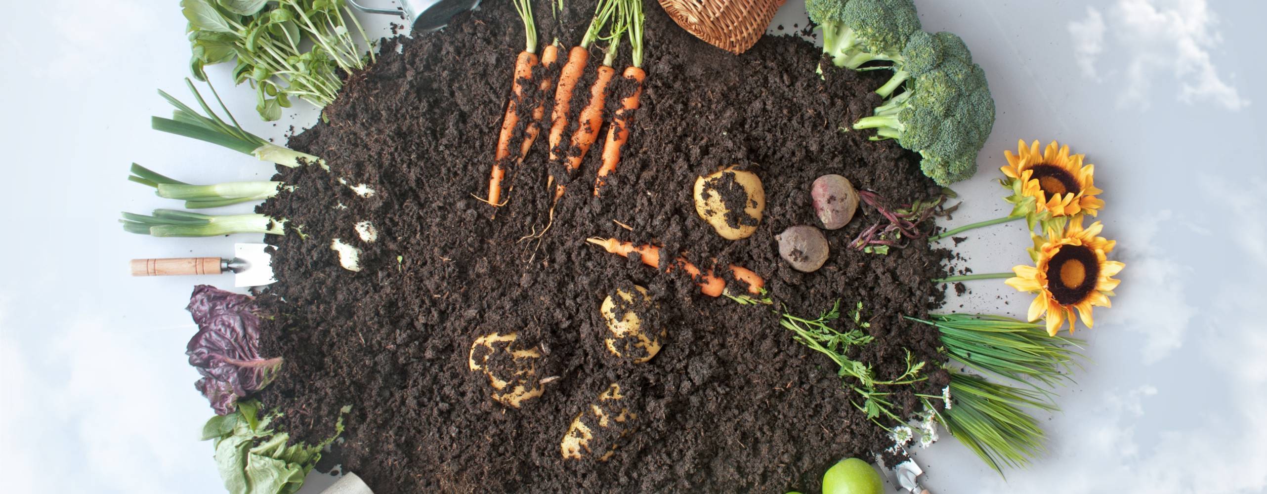 Organic fruits and vegetables growing in circular eco garden surrounded by blue sky